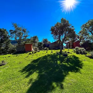 chale-das-araucarias.santa-catarina-brasil.com/